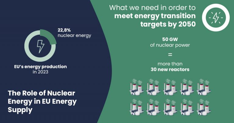 The role of the nuclear energy, Renewable energy sources